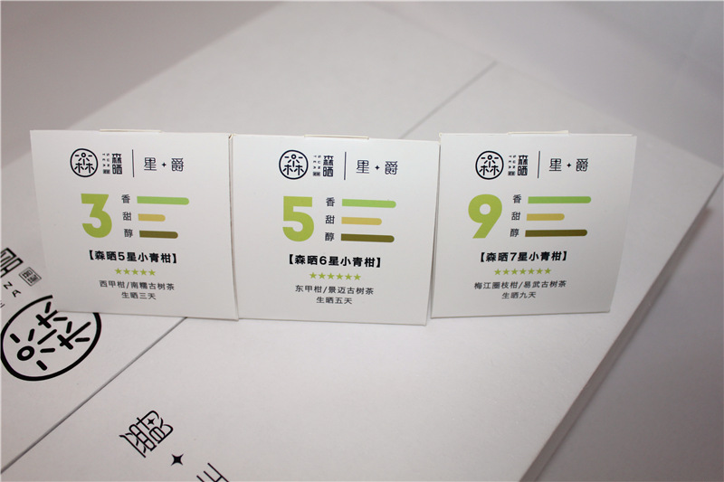 普洱小青柑茶葉禮盒定制